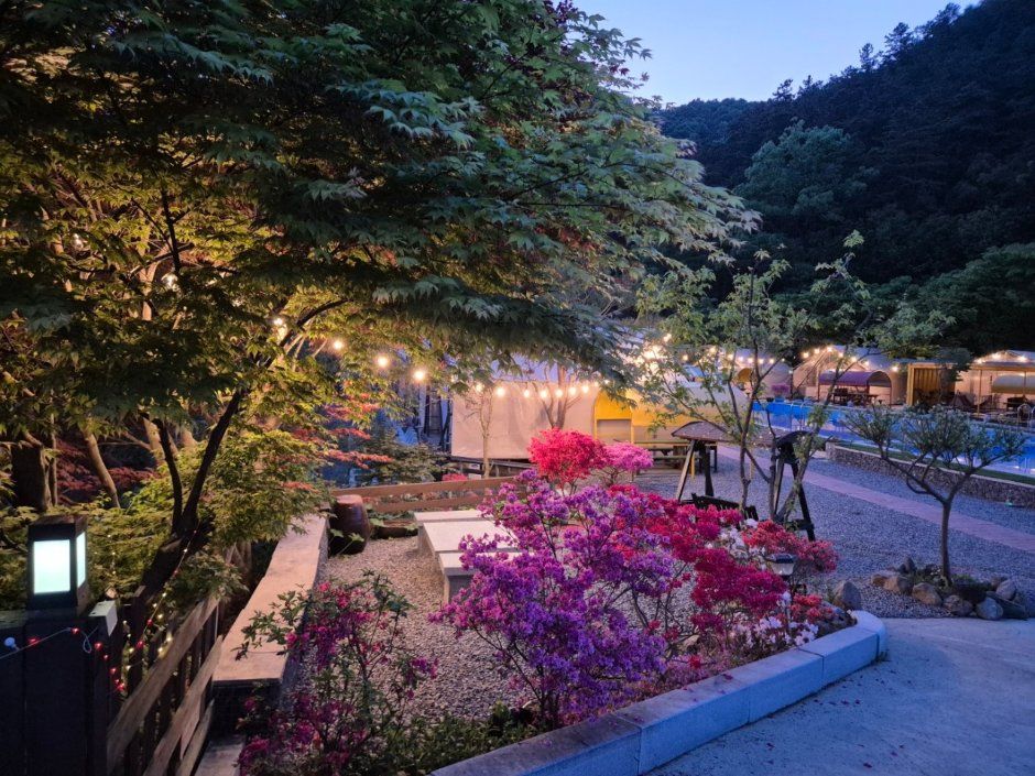 평화숲 글램핑