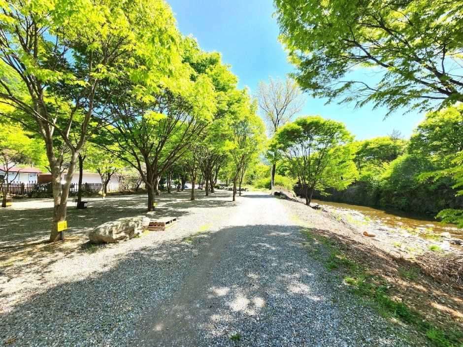 개울가오토캠핑장