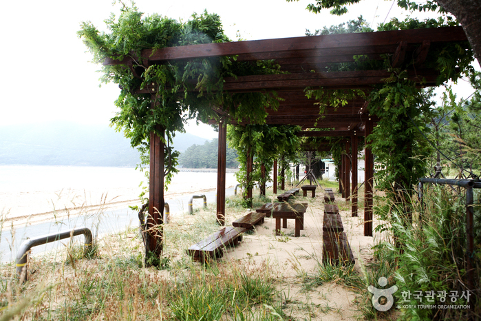 명사해수욕장 명사해수욕장