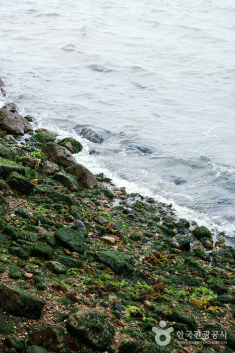통영공설해수욕장 통영공설해수욕장