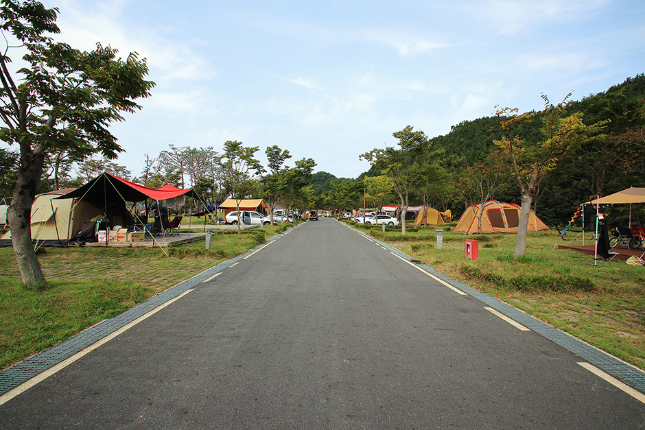 Geumsan Ginseng Valley Auto Campground