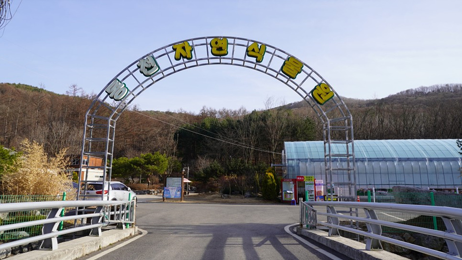 東川自然植物園
