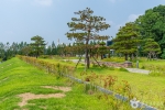 천안시민체육공원 (15)
