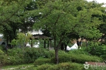 당산공원 (3)