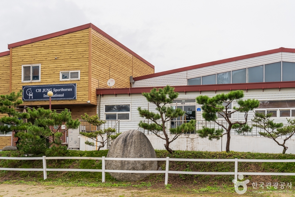 郑哲熙国际马术中心 天安店