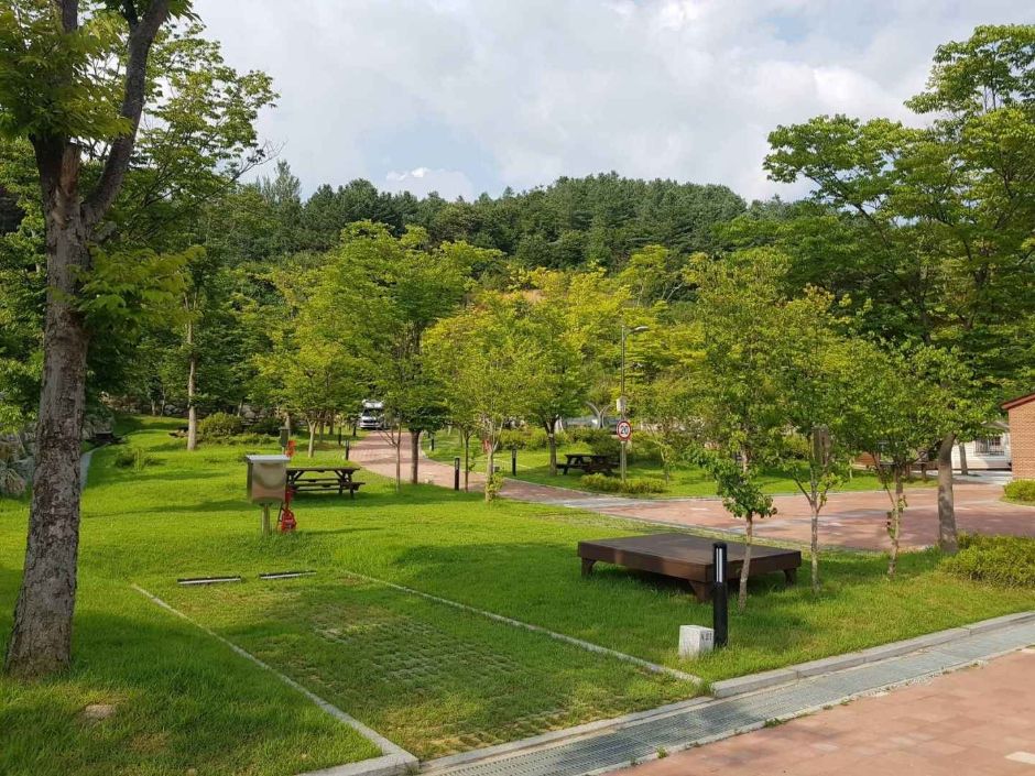 洪川江 ジャラバウィ オートキャンプ場