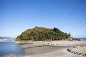 삼척_덕봉산 해안생태탐방로 (3)