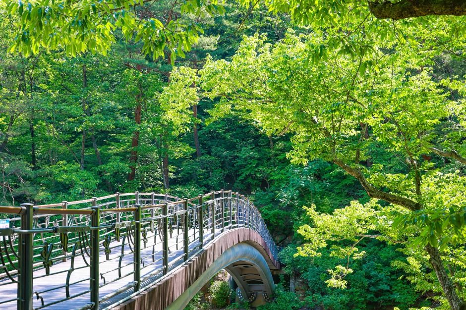 大源寺渓谷道