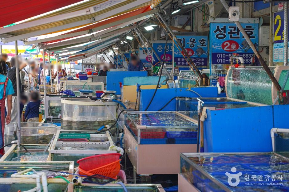 梦山浦渔村水产品卖场
