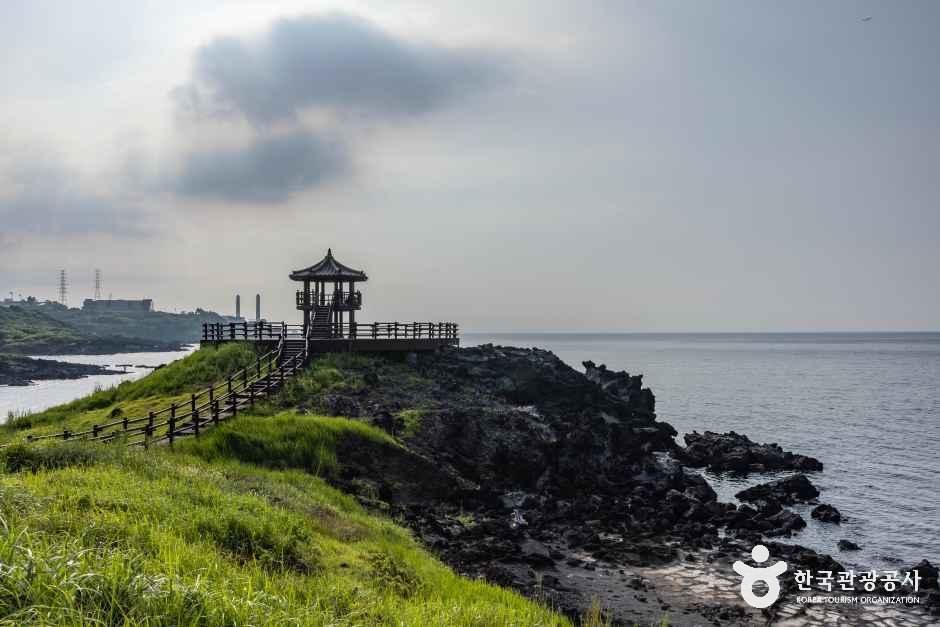 제주_닭머르해안길 (2).jpg