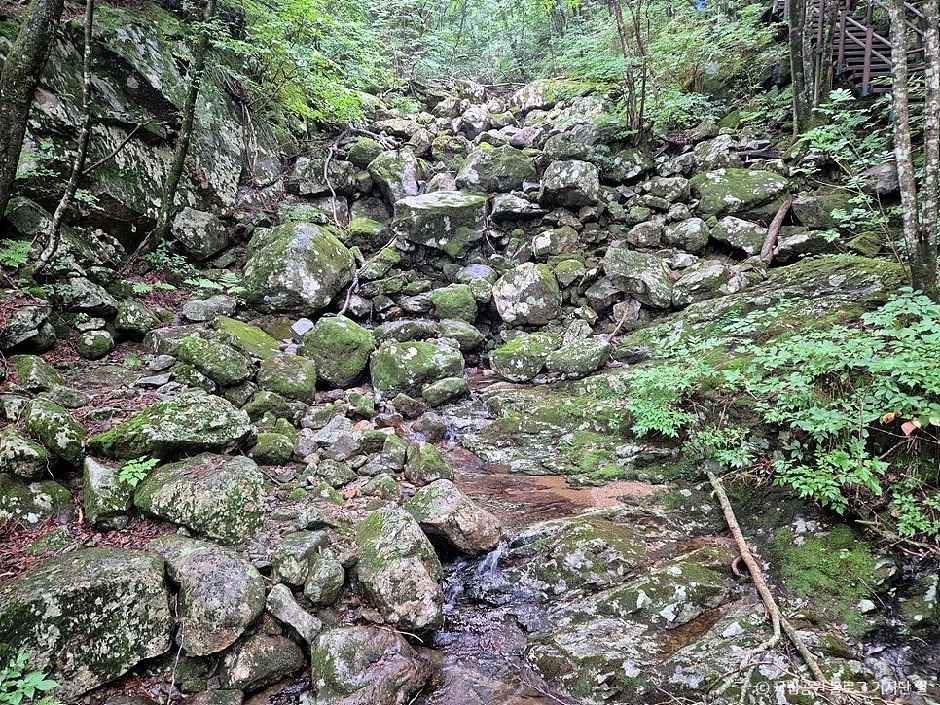 함양_한신계곡 (2).jpg