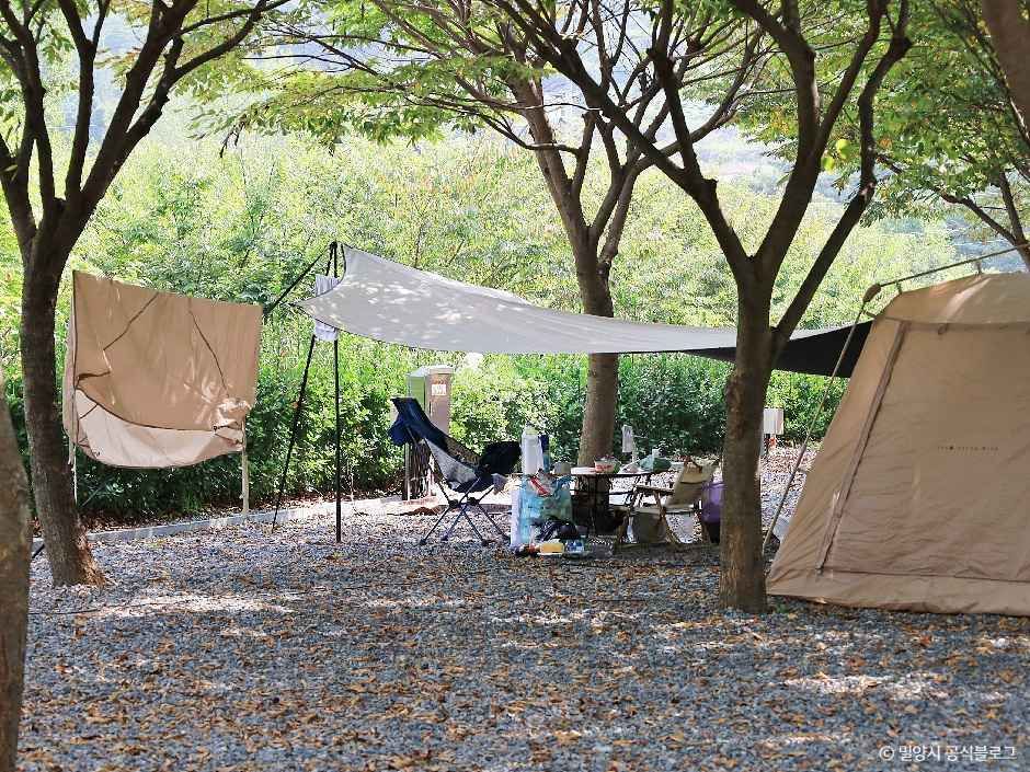 밀양 가보자 캠핑장