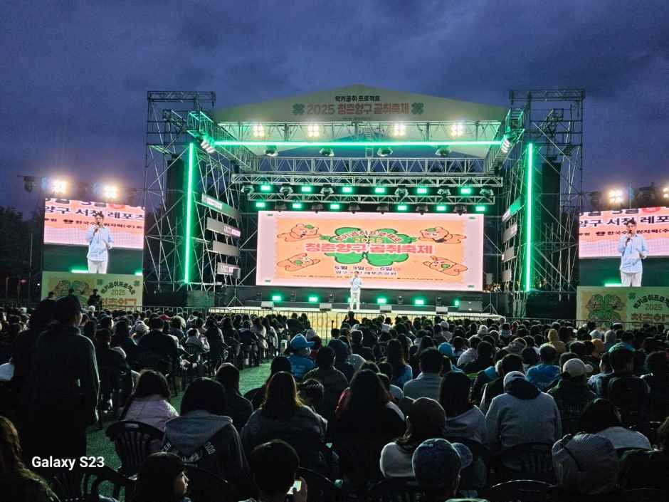 청춘양구 곰취축제