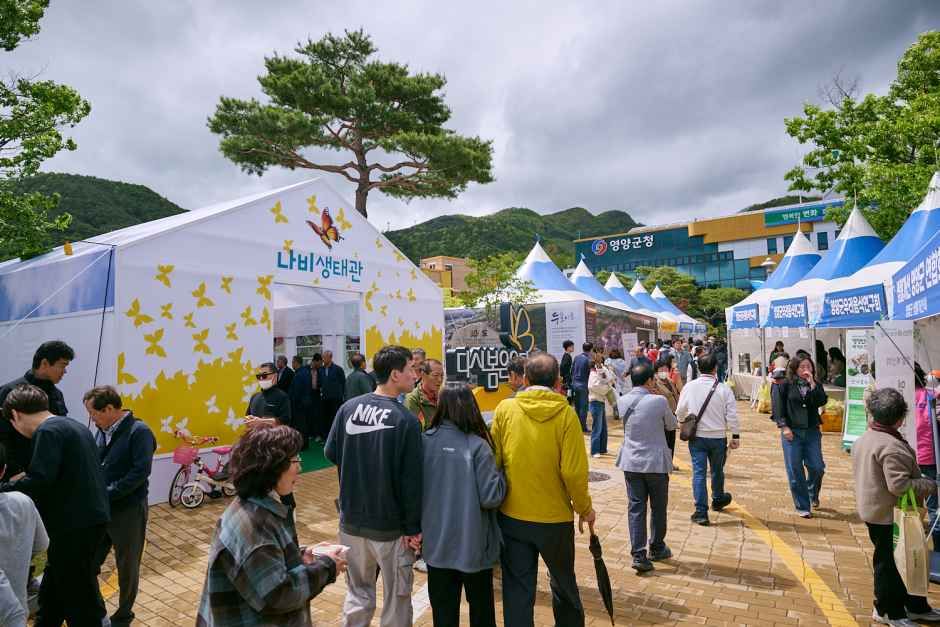 2026 영양 산나물 축제 (3).jpg