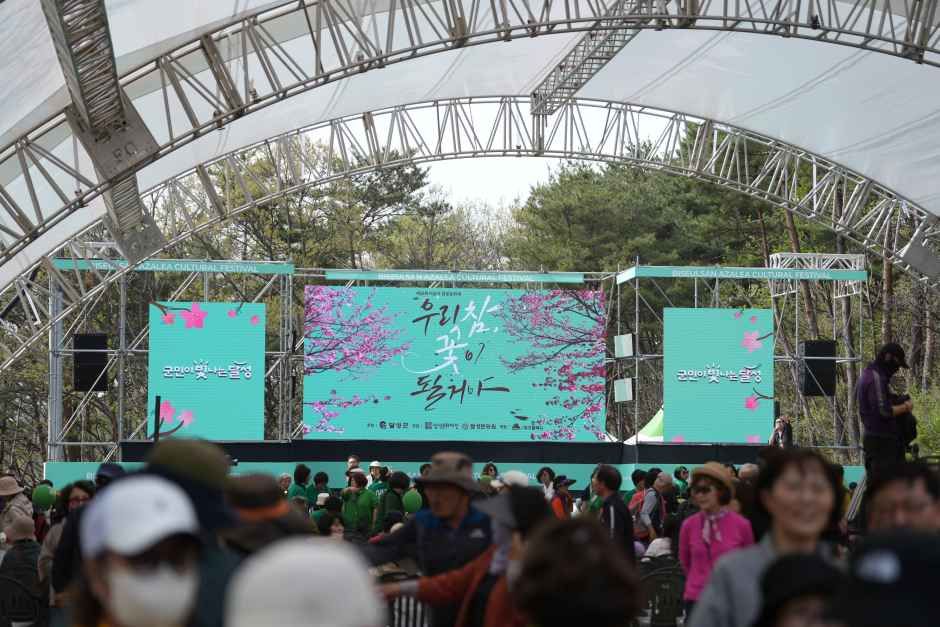 비슬산 참꽃문화제