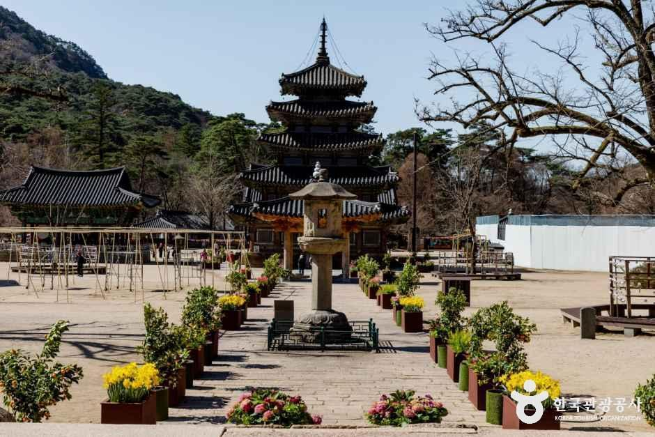 충북_보은_보은 법주사 [유네스코 세계유산]_외부_4.png