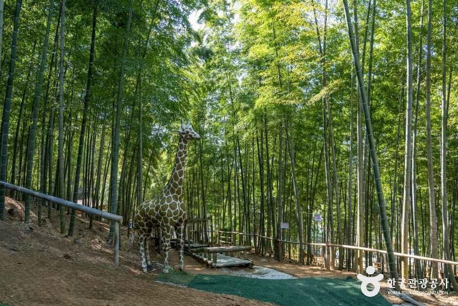 거제맹종죽테마공원