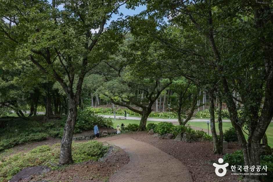 제주_이끼숲소길 (10).jpg