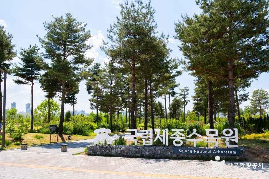 国立世宗樹木園