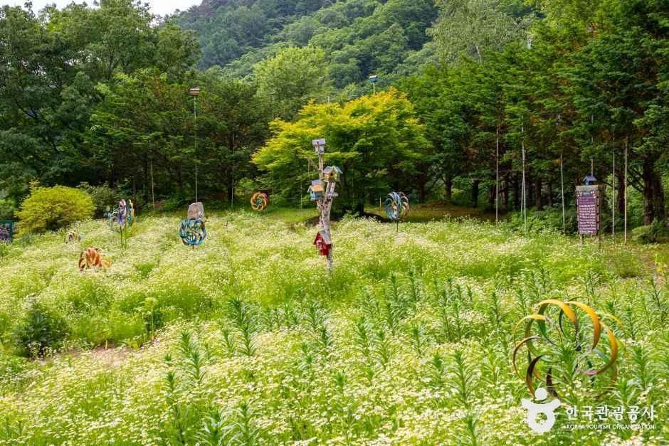 허브나라농원