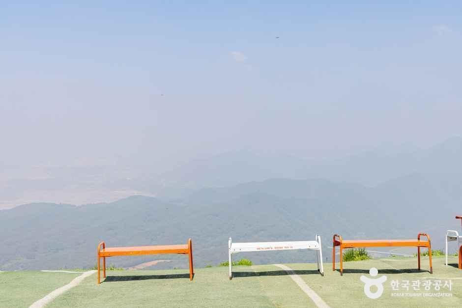 단양 패러일번지