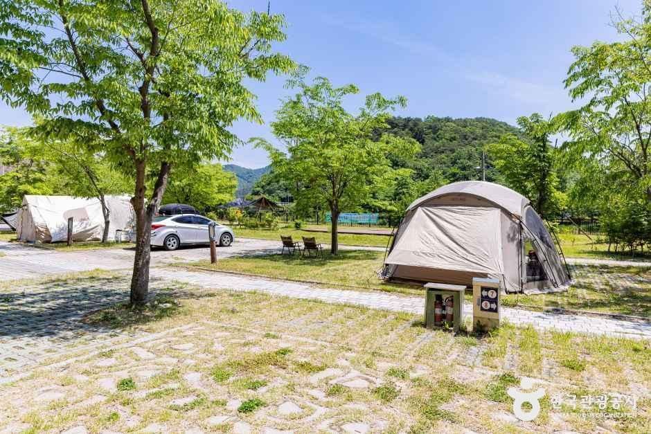 원남테마공원캠핑장