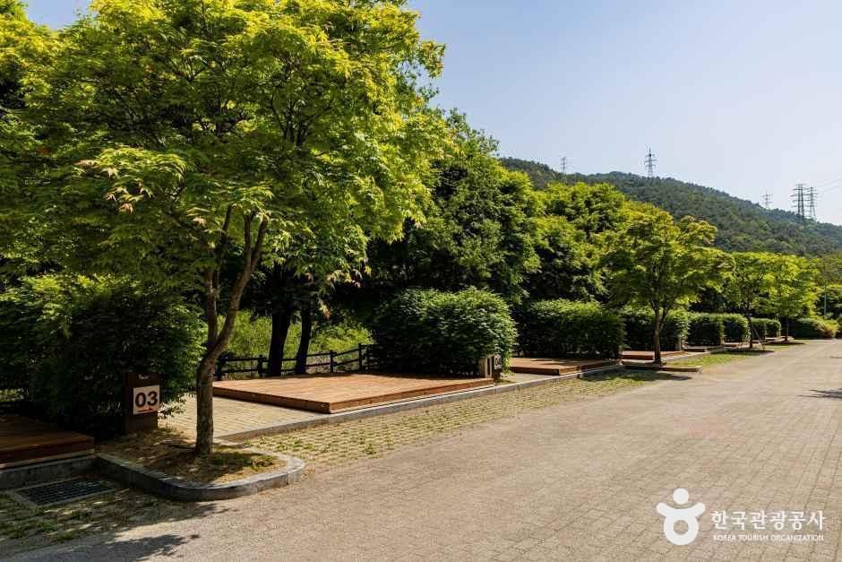 용두산오토캠핑장