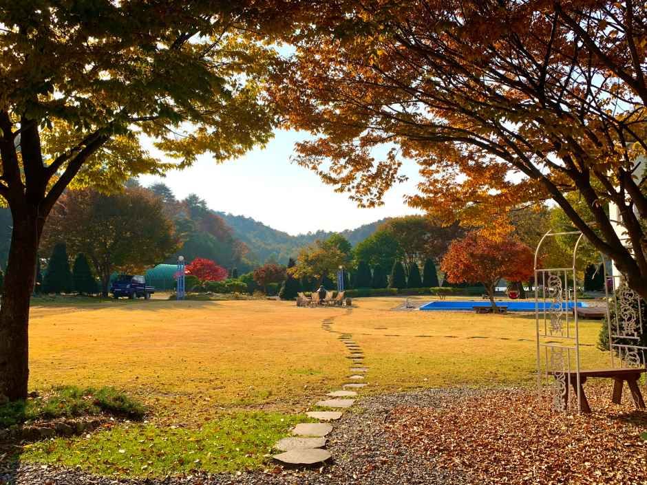 홍천무네미농장