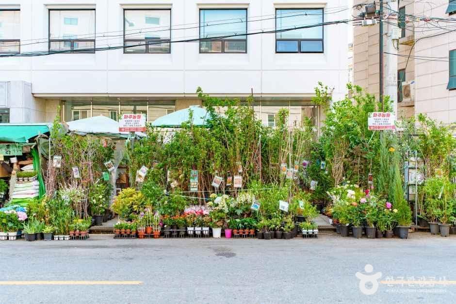 서울_종로꽃시장 (3).jpg