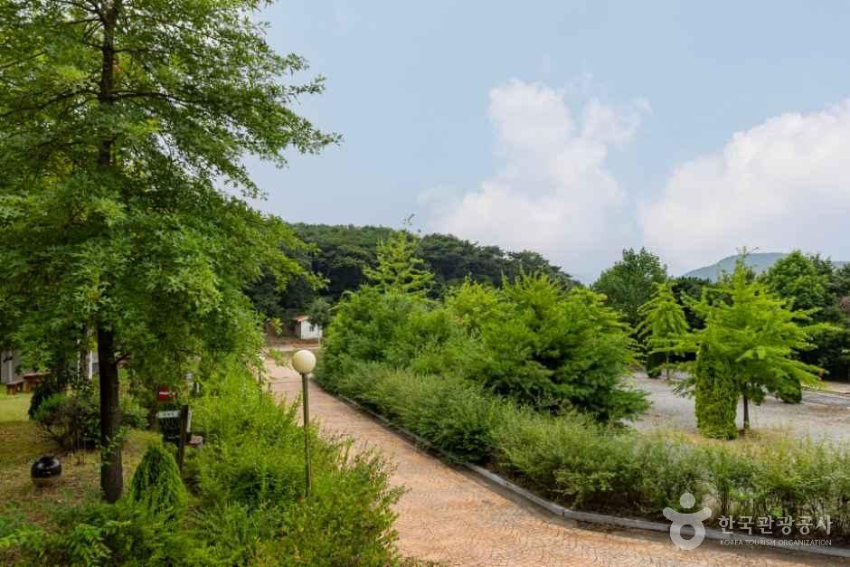 스칸디캠프팜 사진 5