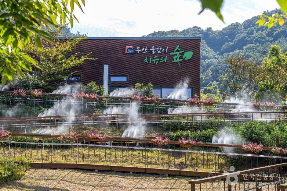 자연 속 쉼과 단정한 풍류가 숨 쉬는 무안 여정_전남광주_무안_무안 물맞이 치유의 숲_1.jpg