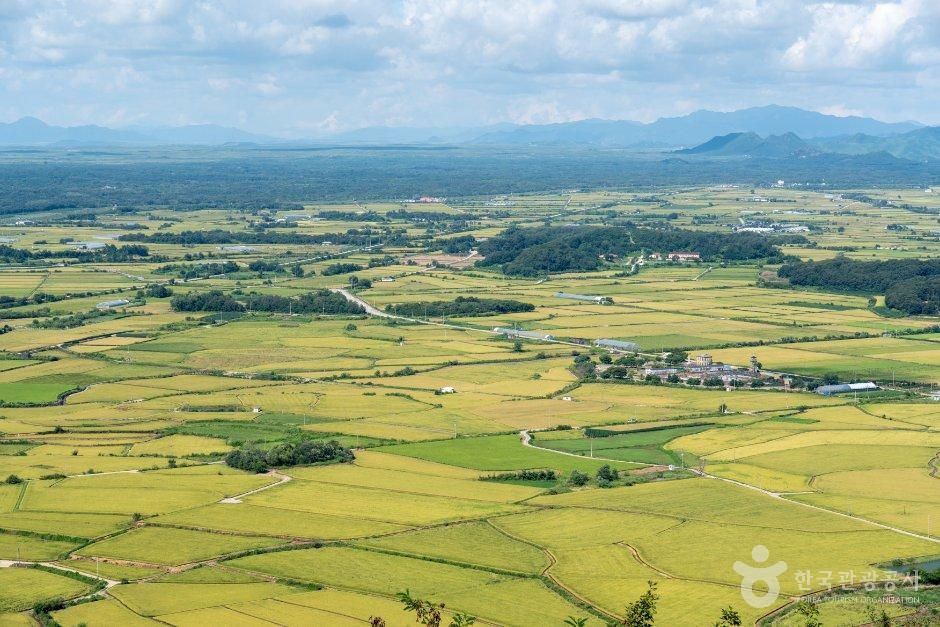 철원 용암대지 (한탄강 유네스코 세계지질공원)