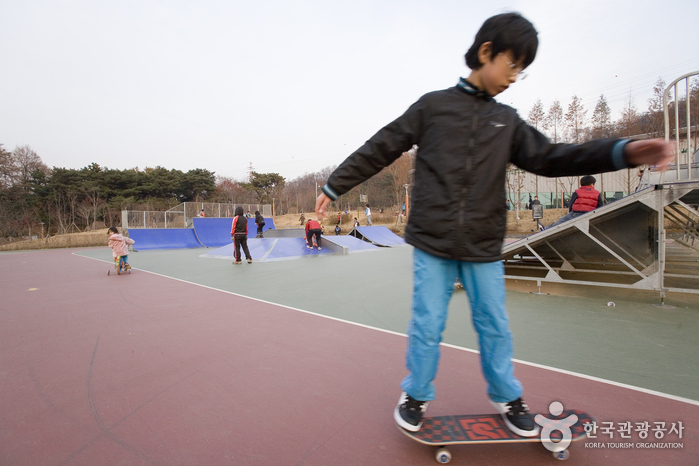 일자산자연공원 일자산자연공원