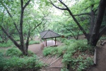 경기도 과천시 서울대공원 산림욕장10