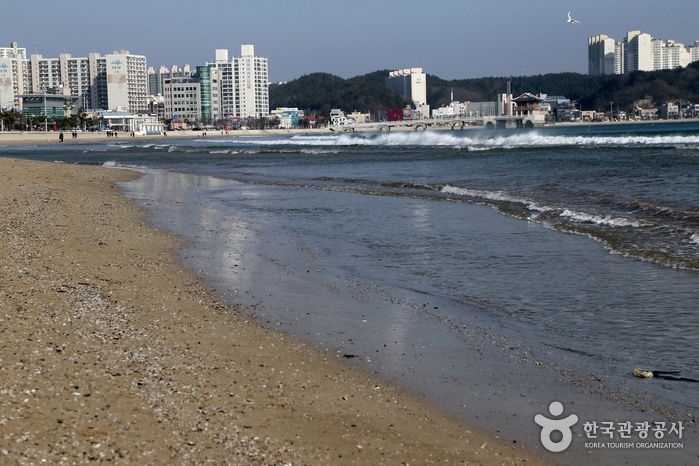 영일대해수욕장 영일대해수욕장