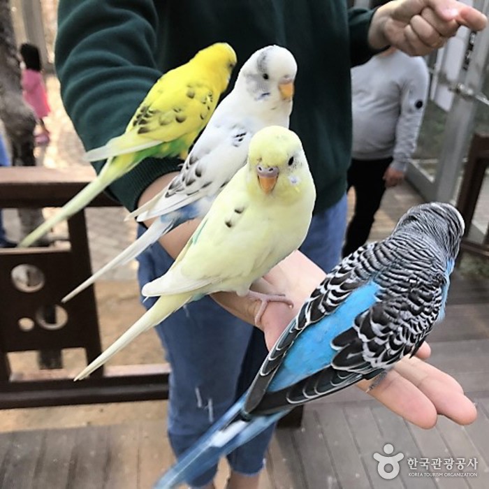 Парк птиц в Кёнчжу