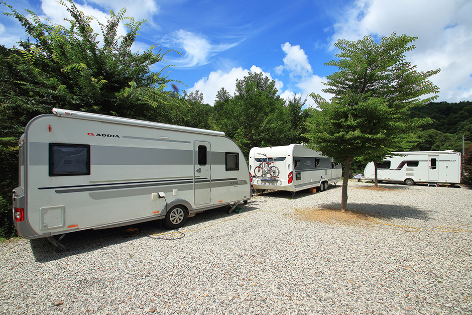 Naeanui Forest Auto Campground