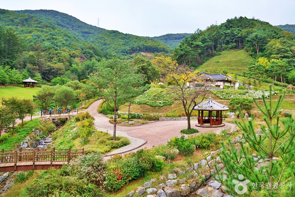 Saenggeo Jincheon Healing Forest