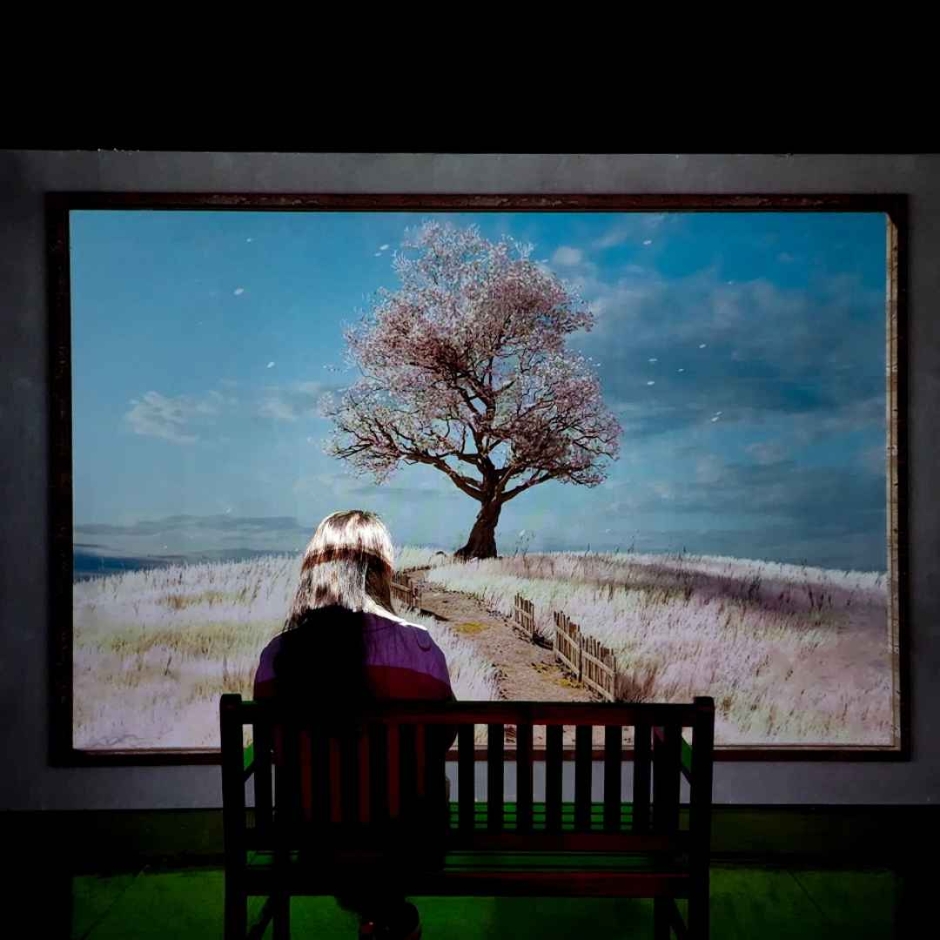 济州Holic Museum