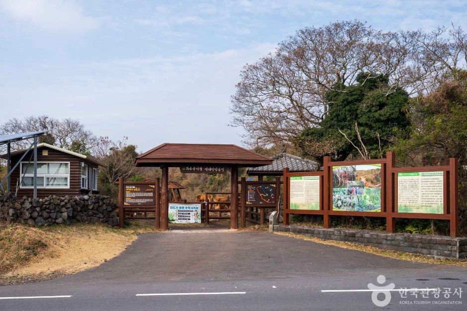 Hwasun Gotjawal Ecological Exploration Forest Trail