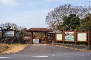 화순곶자왈 생태탐방숲길