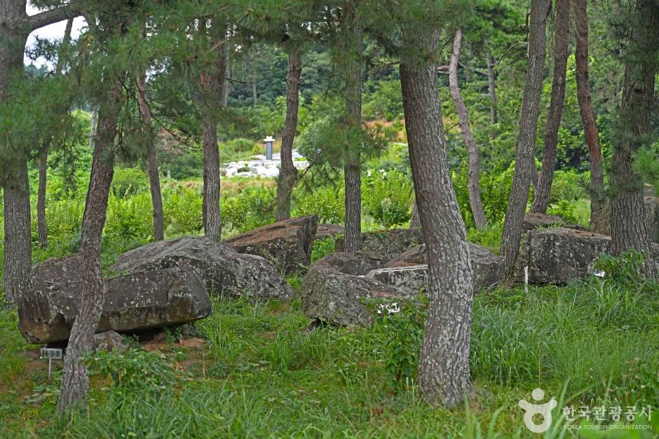 霊光 城山里支石墓群