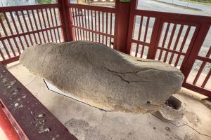 영천보성리암각화