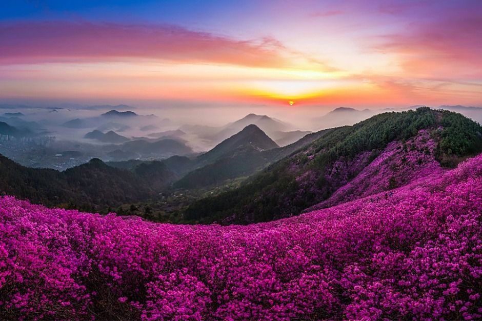 天柱山