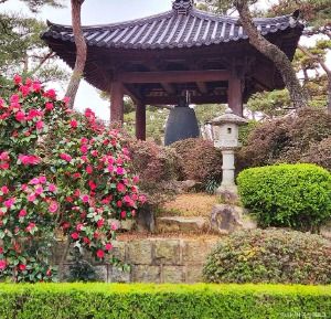 원불교중앙총부