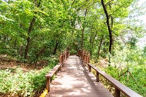 오금공원 사진 5
