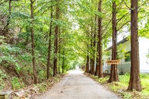 3570090 image3 1 예스키즈존 탐험대 : 실패 없는 육아여행