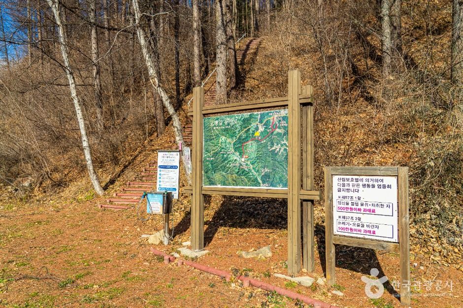 コレンギル