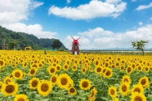 3588490 image3 1 예스키즈존 탐험대 : 실패 없는 육아여행