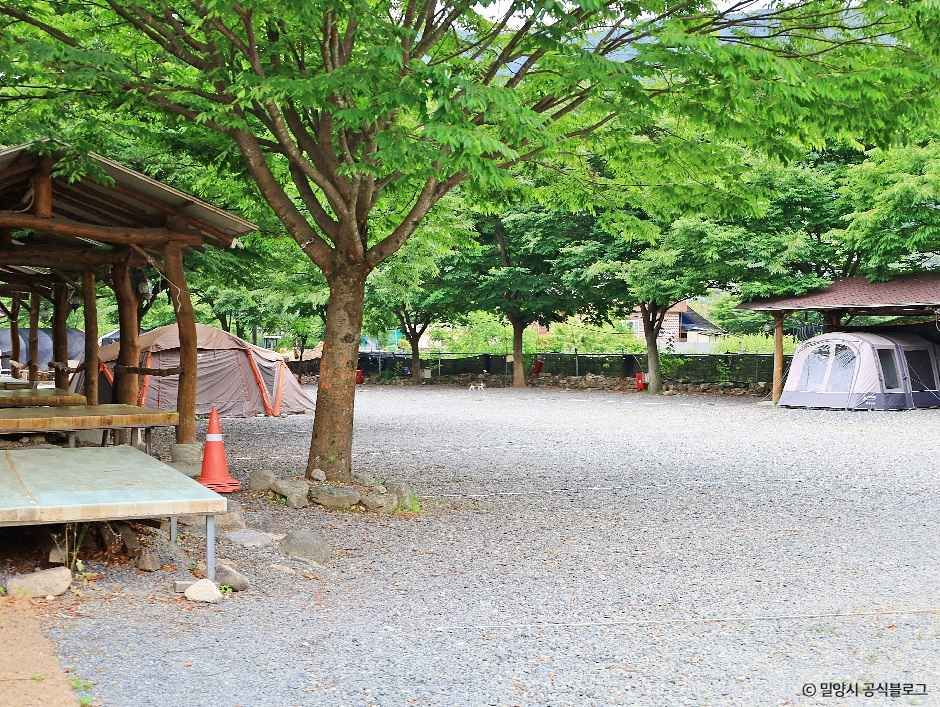 밀양_밀양 유원지 오토캠핑장 (3).jpg